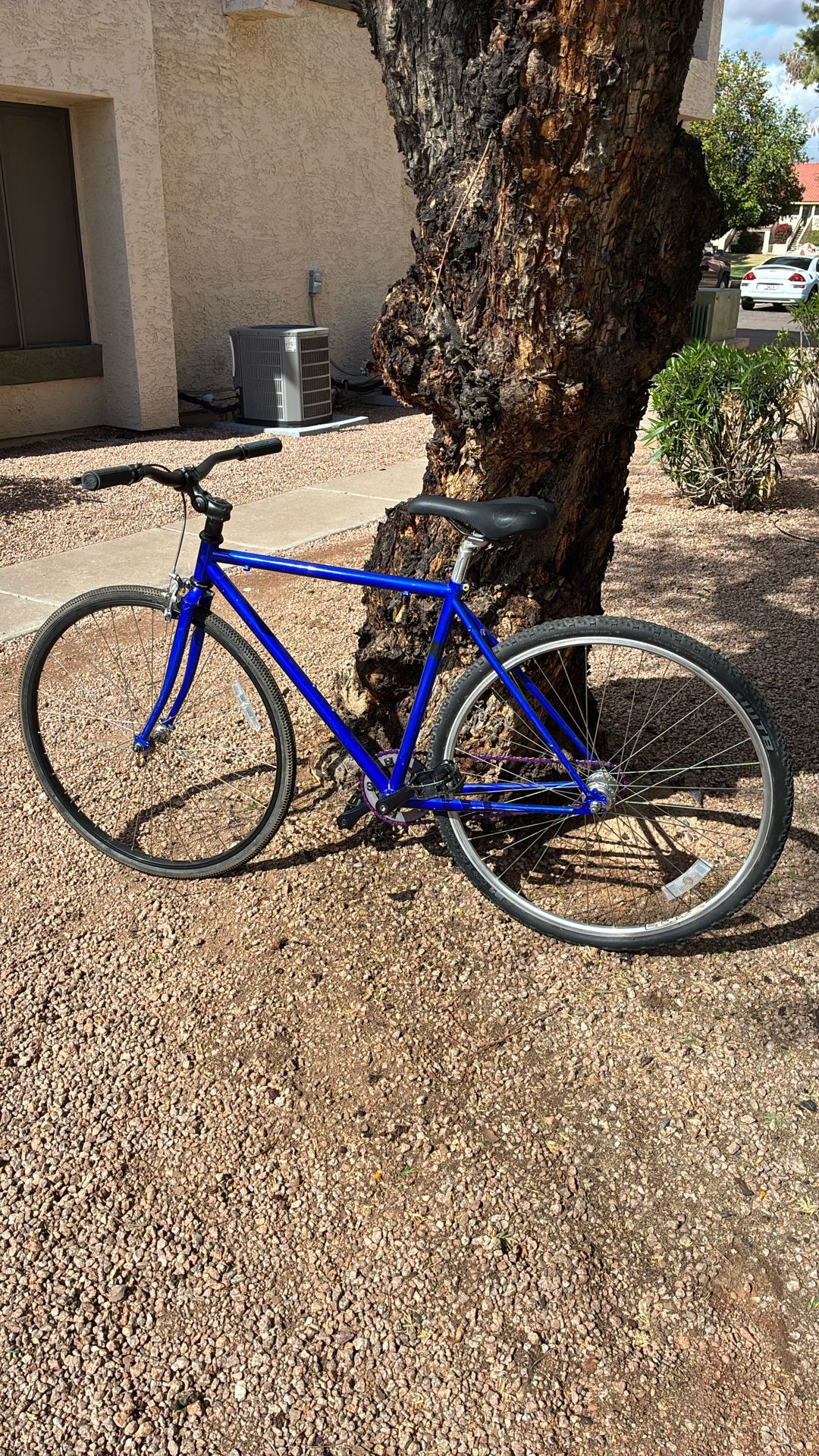 Bicycle—Single Speed