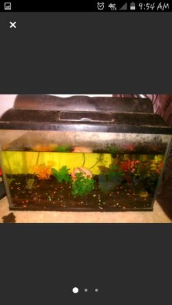 Fish tank