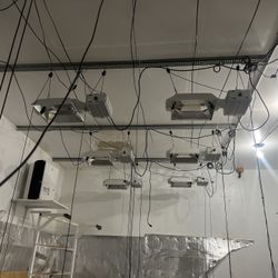 Luxx Growers Lights With Bulbs