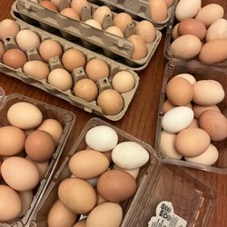 Fresh Organic Eggs For Sale $6 Per Dozen