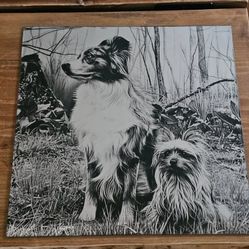 Custom Laser Etched Mirrors
