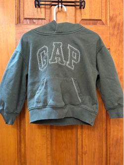 Gap Toddler Hoodie
