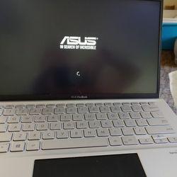 Asus Touchscreen Laptop