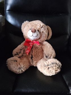 Brown Valentines Day Bear