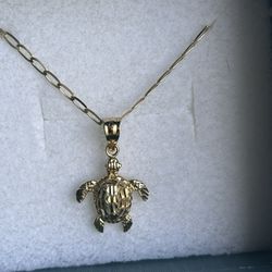 10k Chain And Pendant Set 