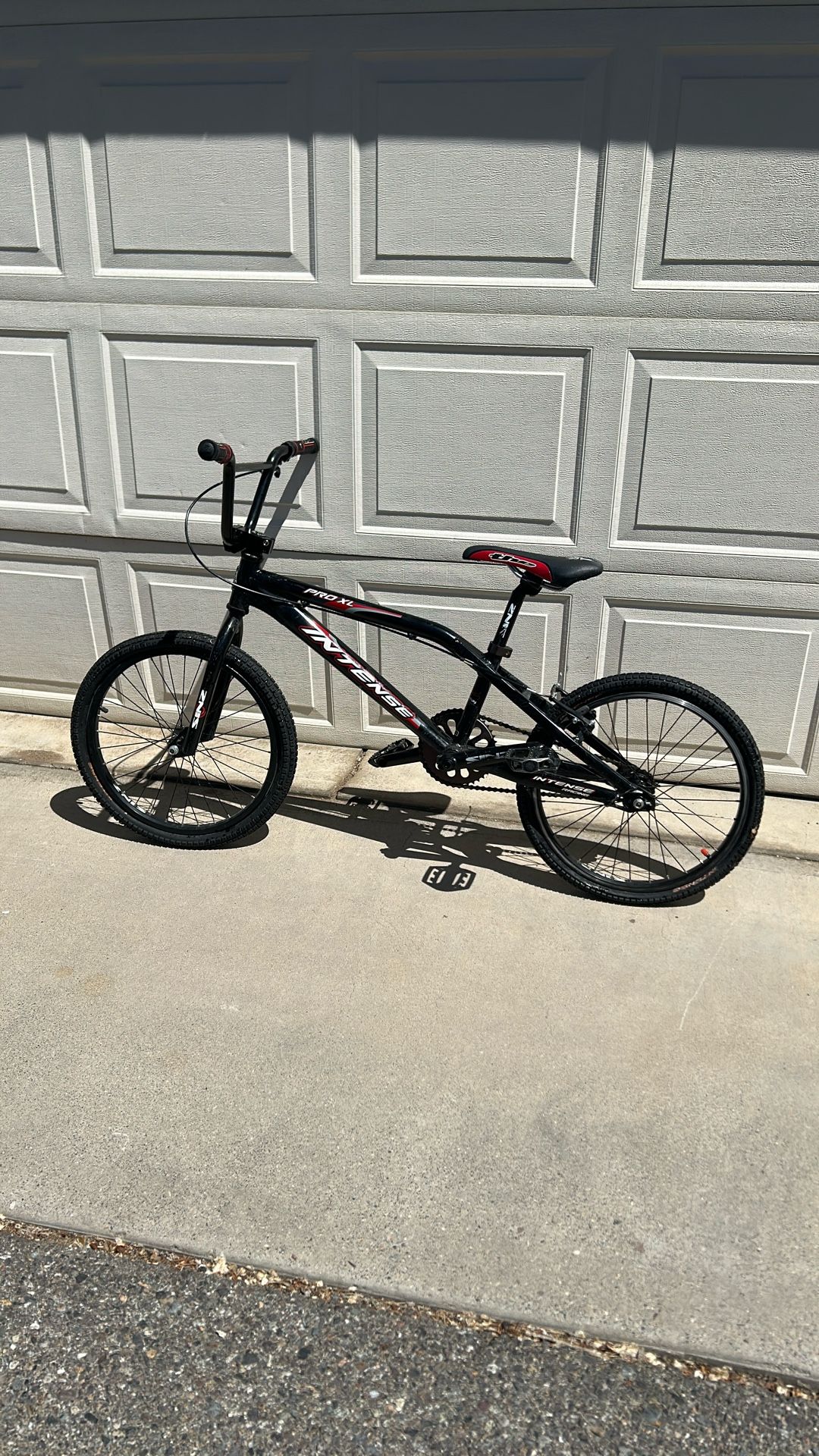 Intense Pro XL Race Bike