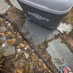Igloo Cooler 