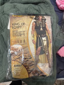 Spirit King of Egypt Adult Halloween Costume Large