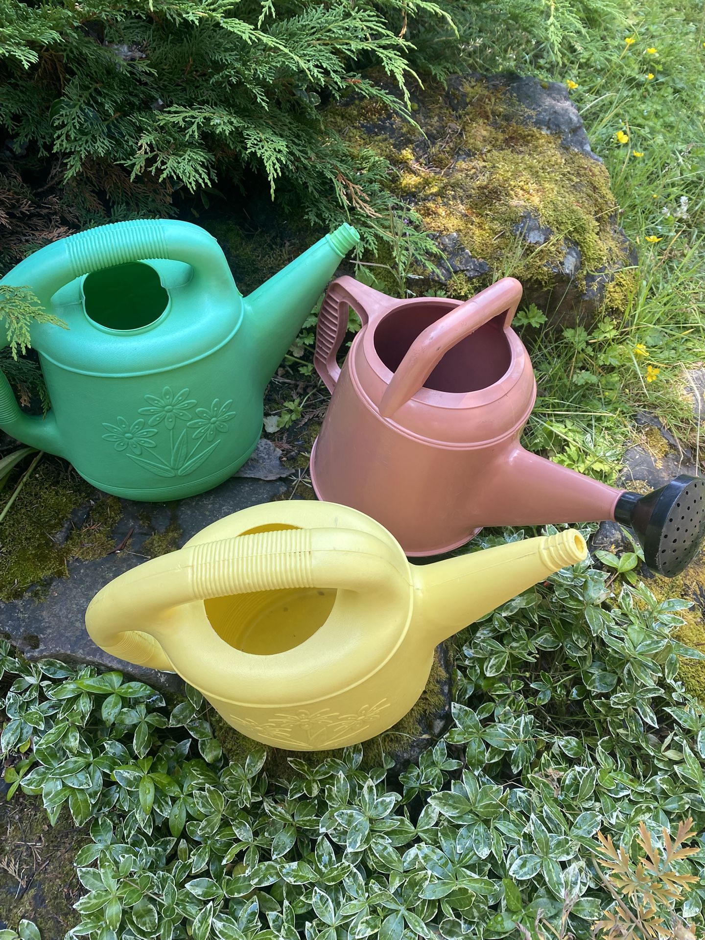 3 Vintage Watering Cans .