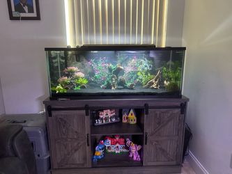 60 Gallon Fish Tank