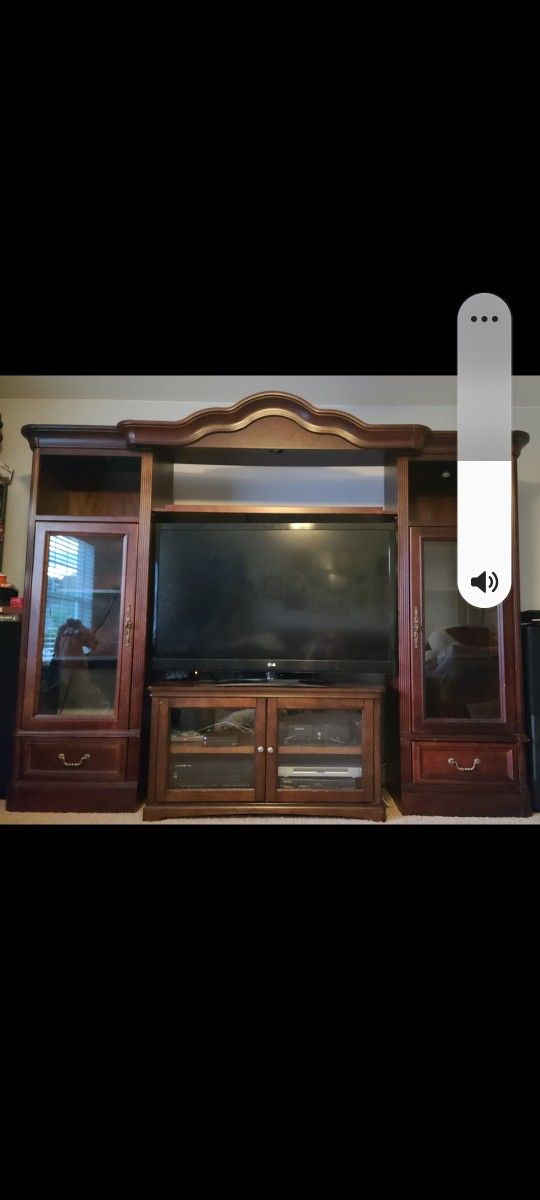 Entertainment center/display case/bookshelves