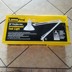 Task Light 