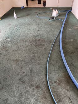 Carpet