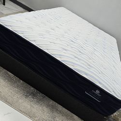 Queen Sizes bed with Mattress