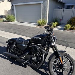 2020 Harley Davidson Iron 883