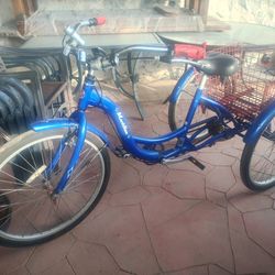 Adult Tricycle