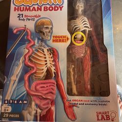 Squishy Human Body Kit