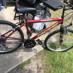 Pacific Timber Trail 21 Speed Mountain Bike for Sale in Lisle IL OfferUp
