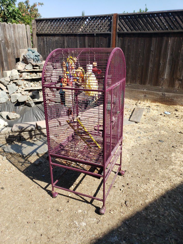 Large Iron Bird Cage 