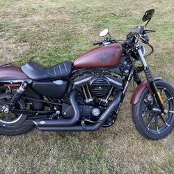 2017 Harley 883 Iron
