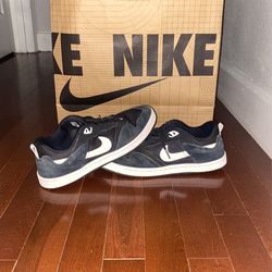 Nike SB Trainer Alleyoop