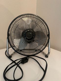 Fan