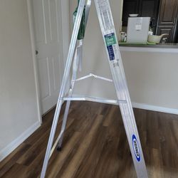 5 ft Ladder