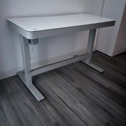 Adjustable Desk