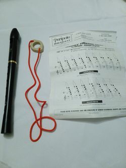 RECORDER INSTRUMENT,  SIMILAR TO A FLUTE, PERIPOLE ANGEL SOPRANO,  MODEL PB6000