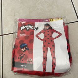 Miraculous Costume