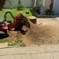 Stump Grinding