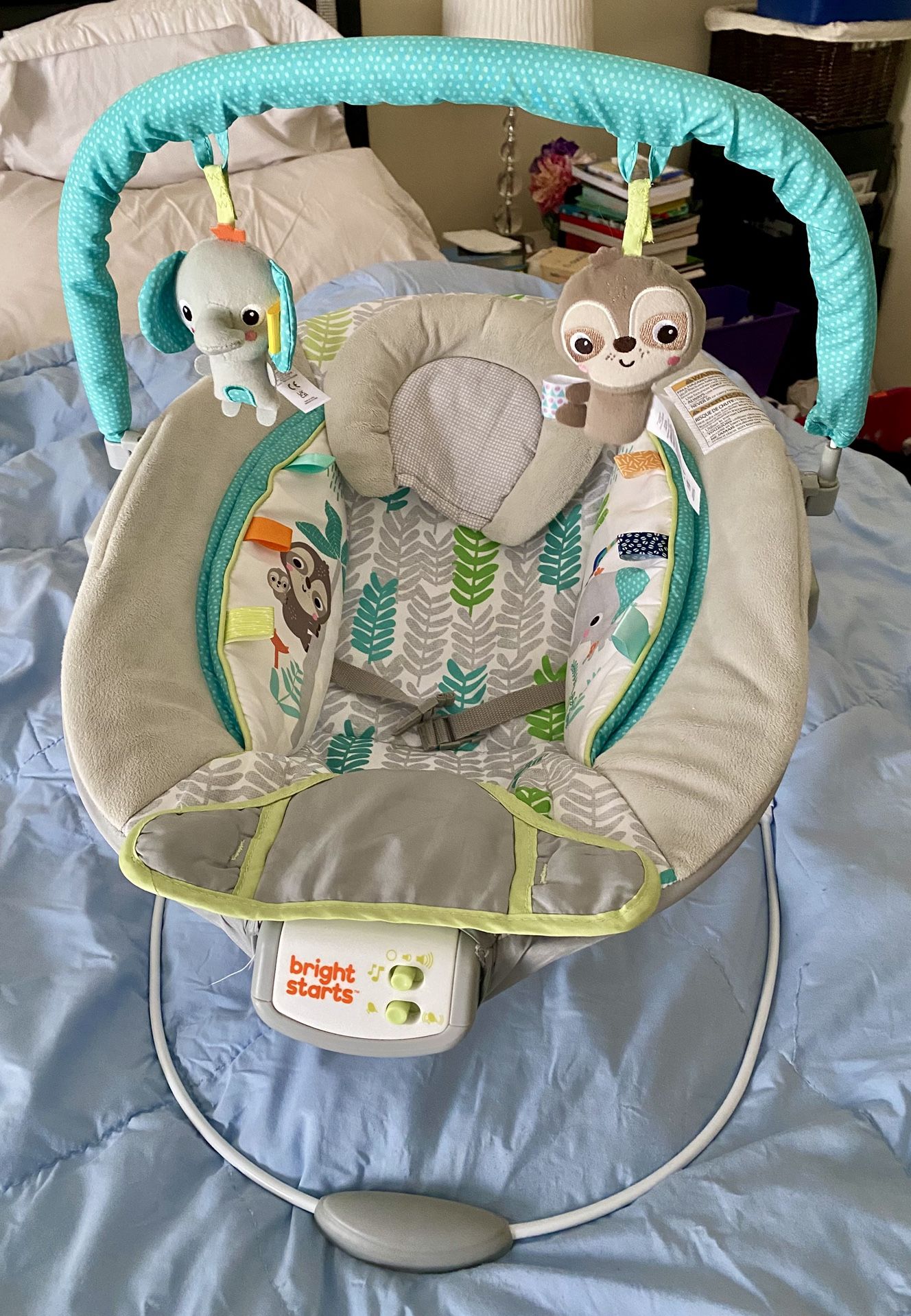 Bright Start Baby Bouncer