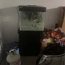 Fish Tank 