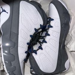 Wolf Grey 9s Jordan