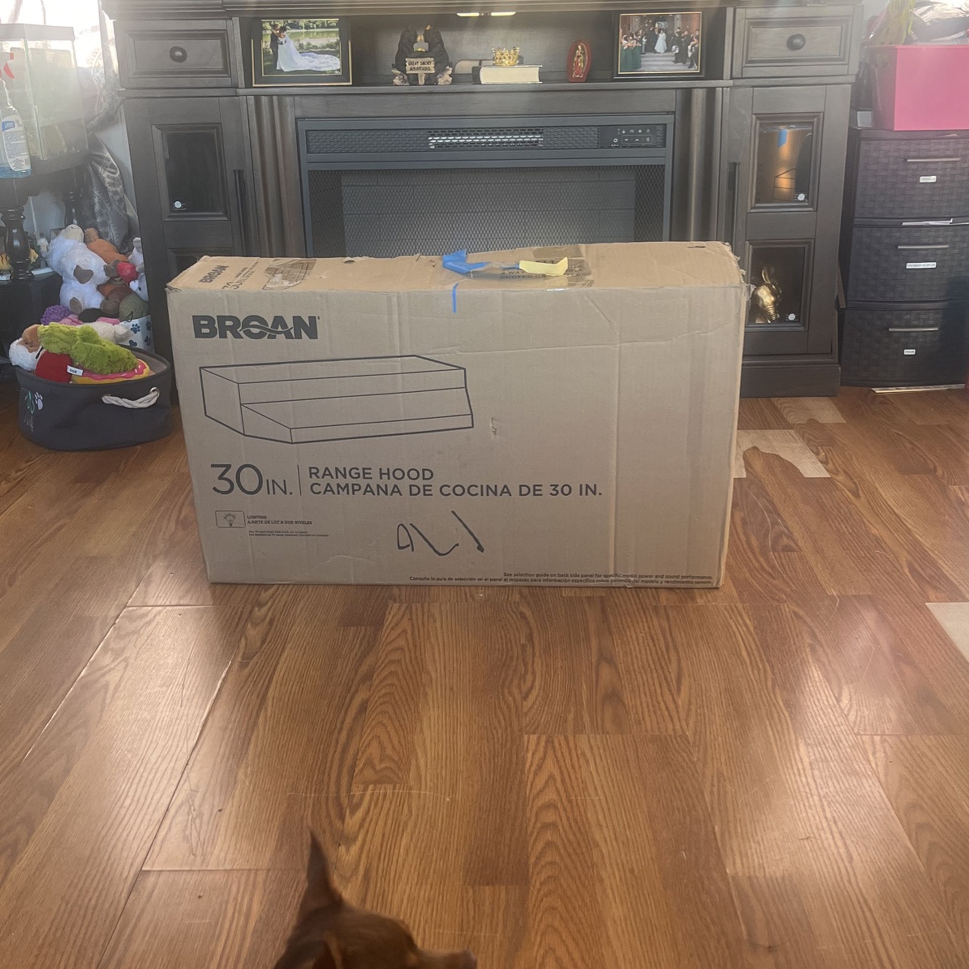 Range Hood