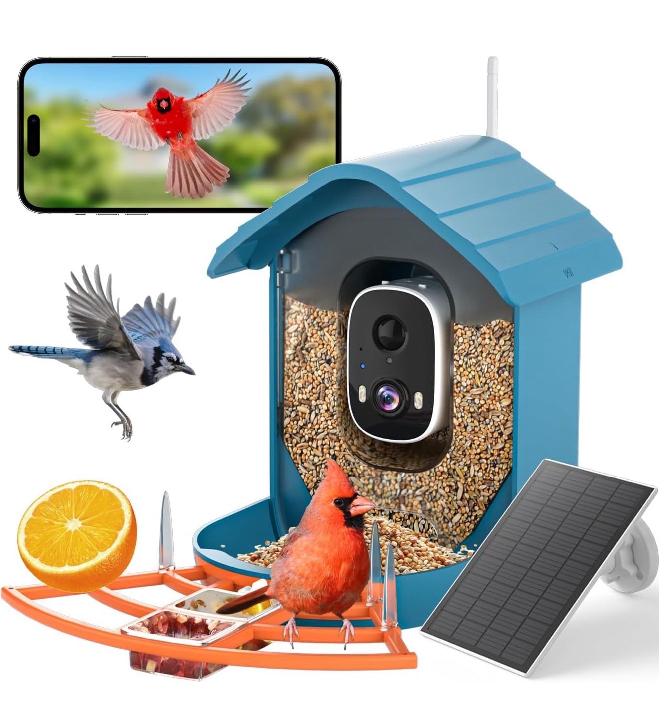 Smart Bird Feeder(brand new)