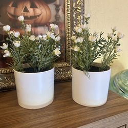 Decorative White Pots