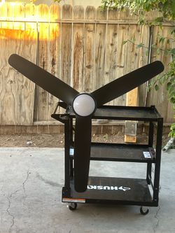 Fan