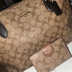 Coach Bag 