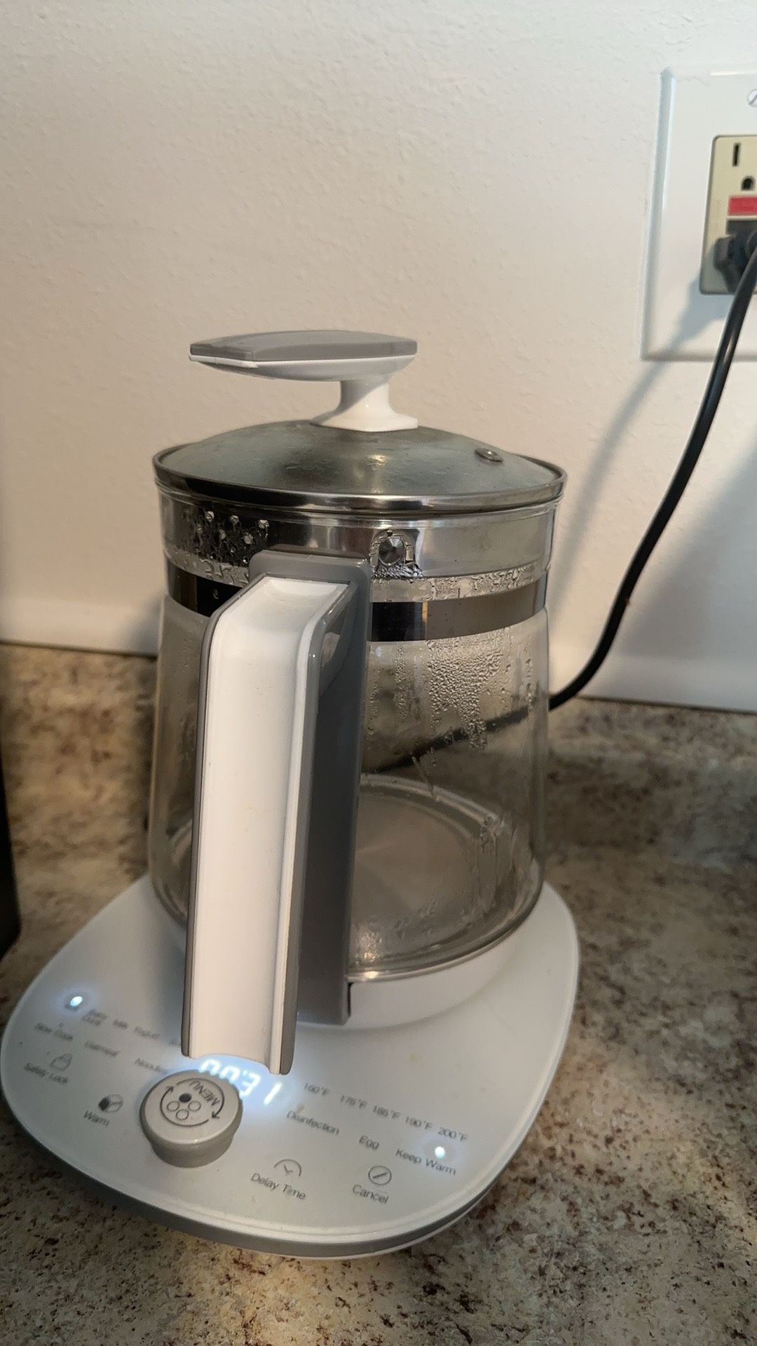 Electric Kettle
