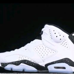 Jordan 6 Oreo