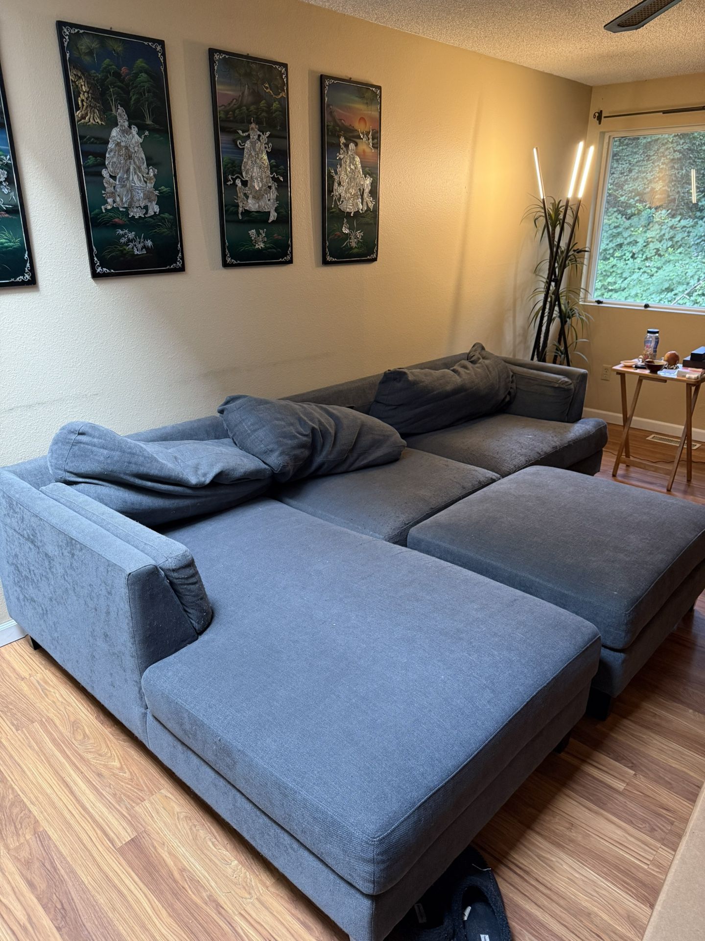 Sectional Couch