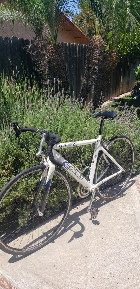 Giant TCR2 Road Bike