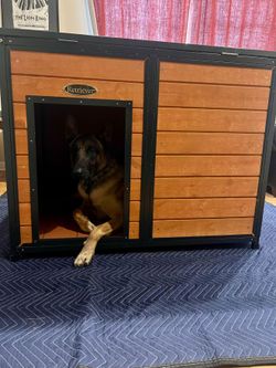 Dog house like new $60