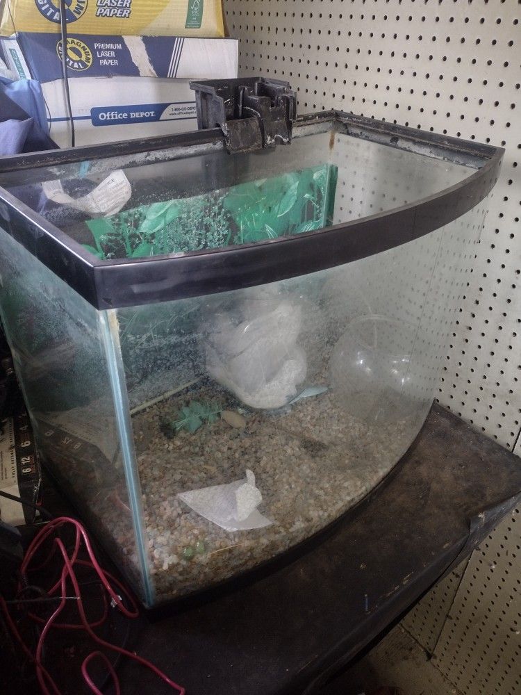 Fish Tanks For Sale