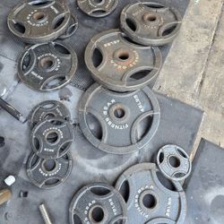 Weight Olympic Plates 