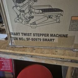 Smart Twist Stepper Machine 