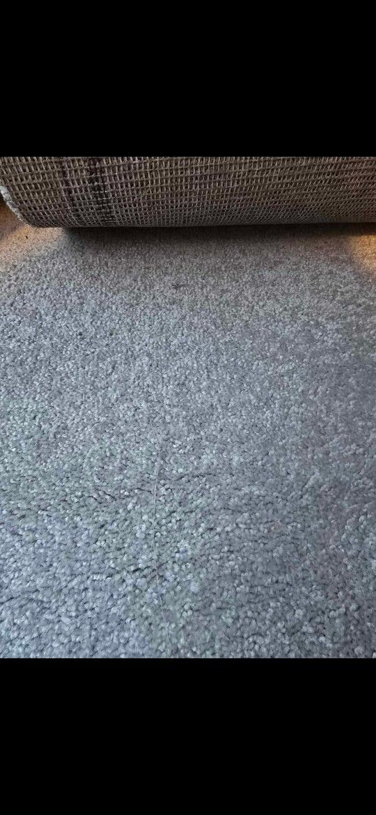 New Carpet 12x15 Grey Color