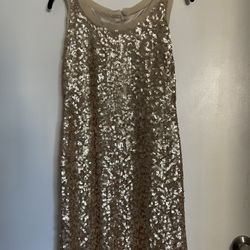 New TALBOTS champagne Silk Sequin Sleeveless Sheath Dress cocktail size 2P