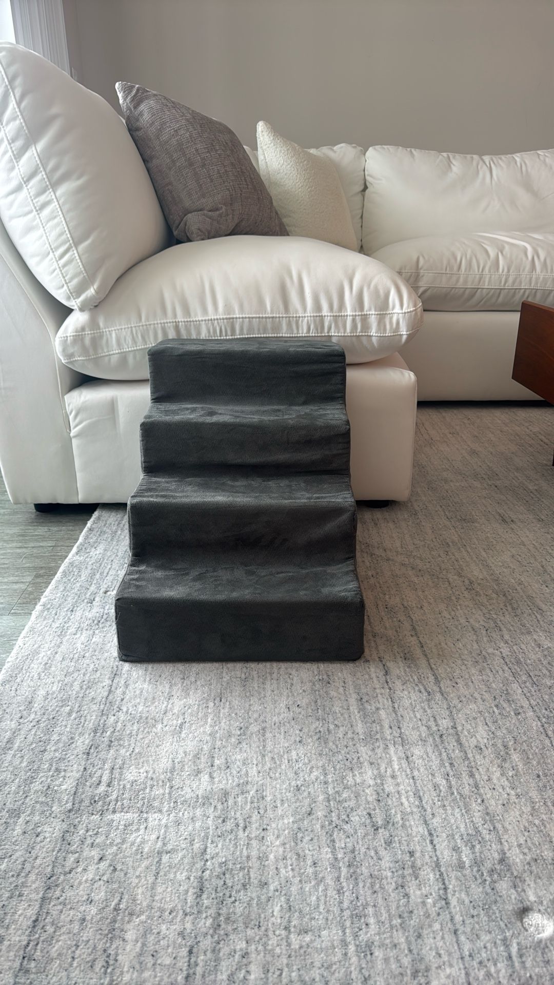 Dog Stairs